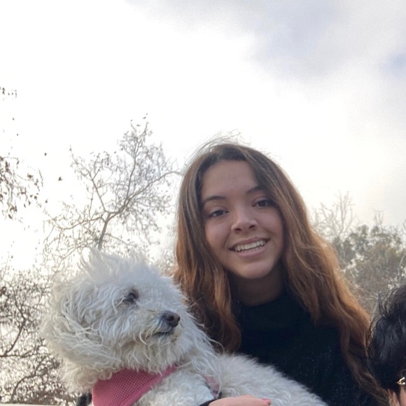 Meet your Posher, Victoria - Picture 1 of 1